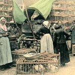Livraison de la volaille un jour de marché à Louhans